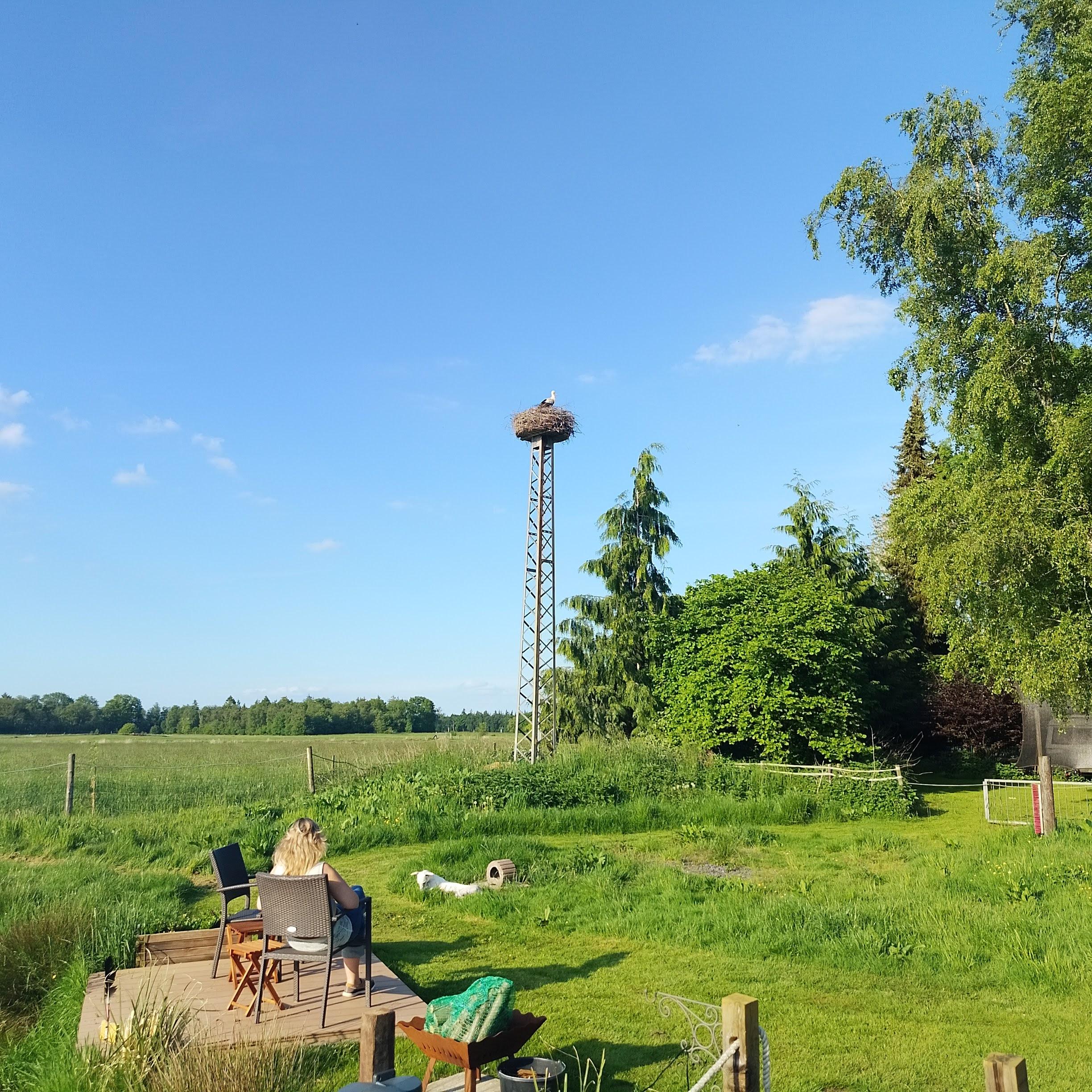 A person sitting on a wicker chair on a wooden deck in a lush green meadow, with a white dog lying on the grass nearby. In the background, a tall metal pole supports a large stork nest with a stork perched on it, surrounded by trees and a clear blue sky.