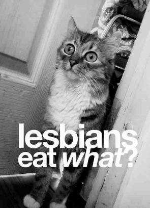 Black & white photo of a wide eyed cat, apparently reacting to the phrase "Lesbians eat *what*?"