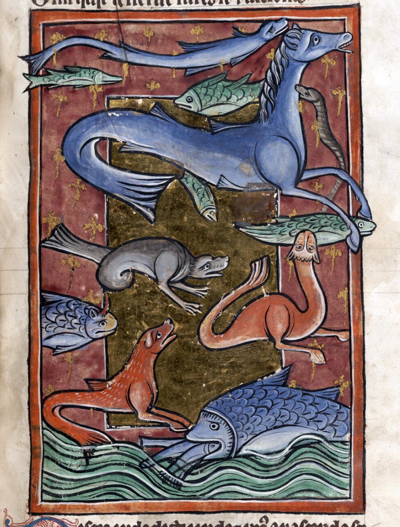 Sea beasts. bestiary, England ca. 1226-1250. Bodleian Library, MS. Bodl. 764, fol. 106r.
#medieval #MedievalArt