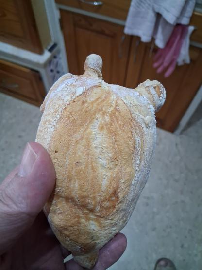 Photo of a deformed small bread.