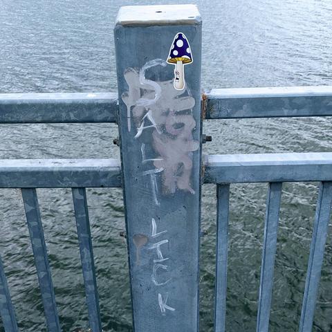Photo at the Portland riverfront of a rectangular metal fence post with scrubbed graffiti and a sticker of a tall mushroom with a purple cap with white dots. The stem of the mushroom has a face with bloodshot eyes, angry eyebrows, and a square-ish mouth open in a toothy scream. Letters scrawled down the post read SALT LICK, which indicates this is a spot for casual sexual encounters with Navy officers known as "smurfs", during Fleet Week.
