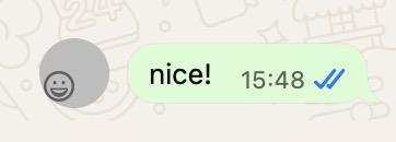 screenshot from macOS WhatsApp with the outer circle being too big and the inner icon misaligned in the lower left