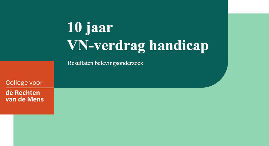 10 jaar VN-verdrag handicap