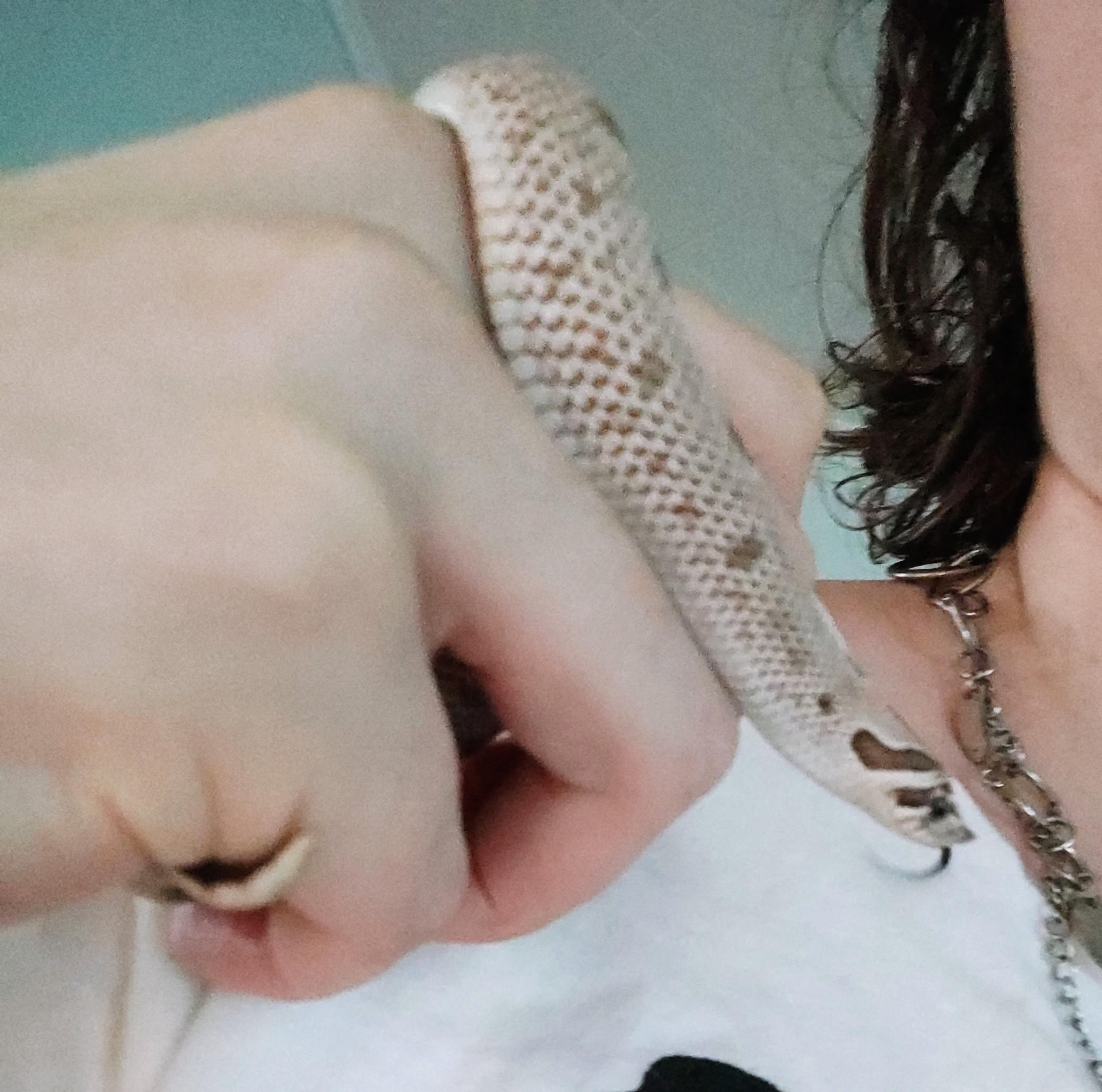 baby snake held in one hand