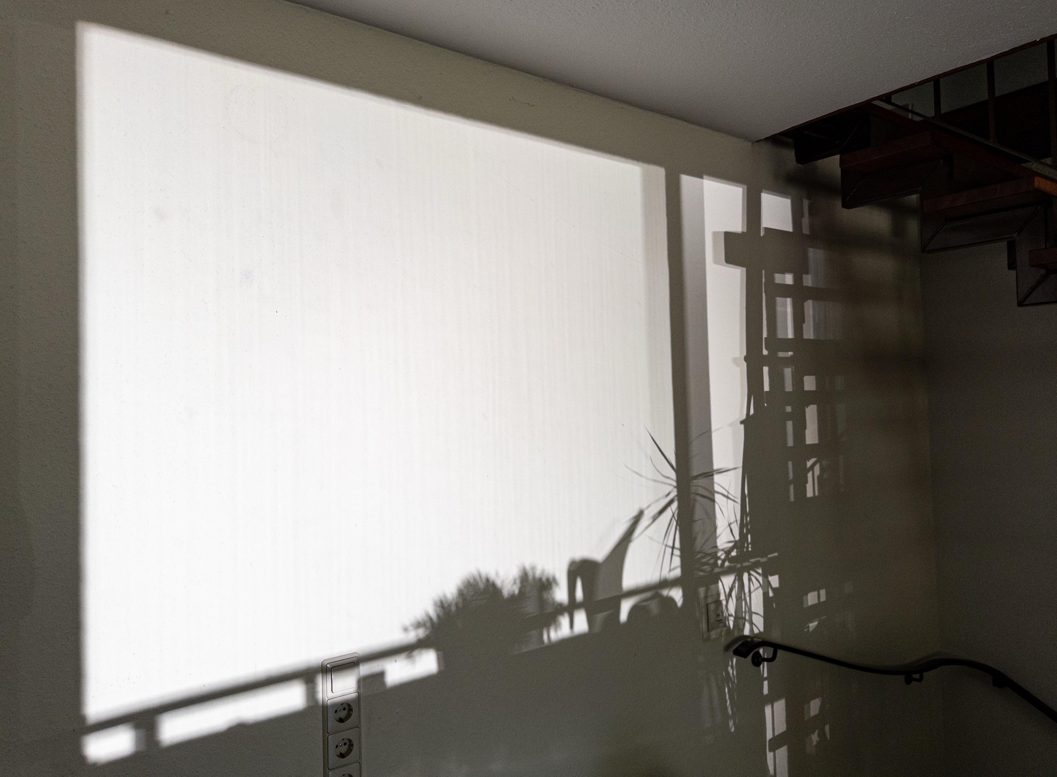 A picture showing the back wall of our lounge being illuminated by horizontally reflected sunlight through a window on the front side. There are shadows cast of the open stairs and also some plants and a watering can on the sill of the window letting the light in.