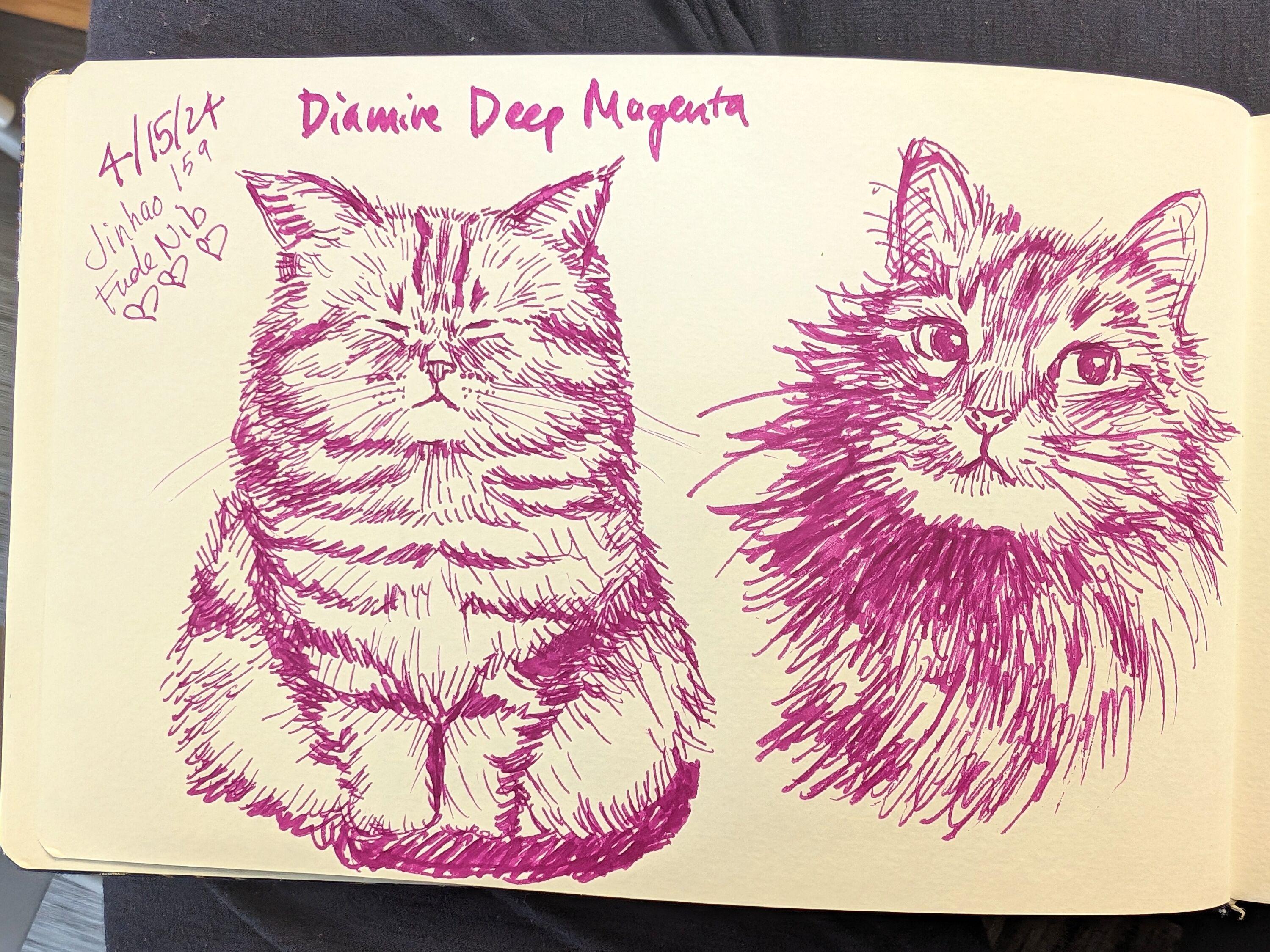 Sketchbook page of two cats drawn in pink fountain pen ink. On the left is a fat cat with his eyes closed. On the right is a very furry cat with her eyes look up and right. The text "4/15/24 Jinhao 159 Fude Nib" is on the top right with some heart drawings. At the top is the text "Diamine Deep Magenta."
