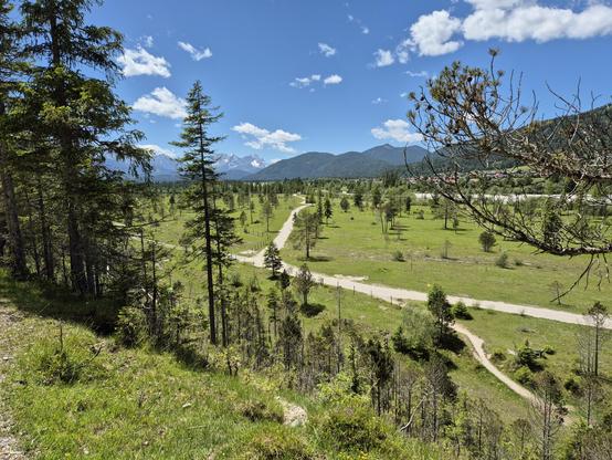 his image captures a breathtaking and expansive alpine landscape, showcasing the serene beauty of a high-altitude valley. The foreground features a winding dirt path that meanders through a lush, green meadow dotted with evergreen trees. The path adds a sense of depth and invites the viewer to imagine walking through this tranquil setting.
The trees, a mix of tall pines and smaller conifers, are scattered throughout the meadow, their vibrant green foliage standing out against the lighter green …