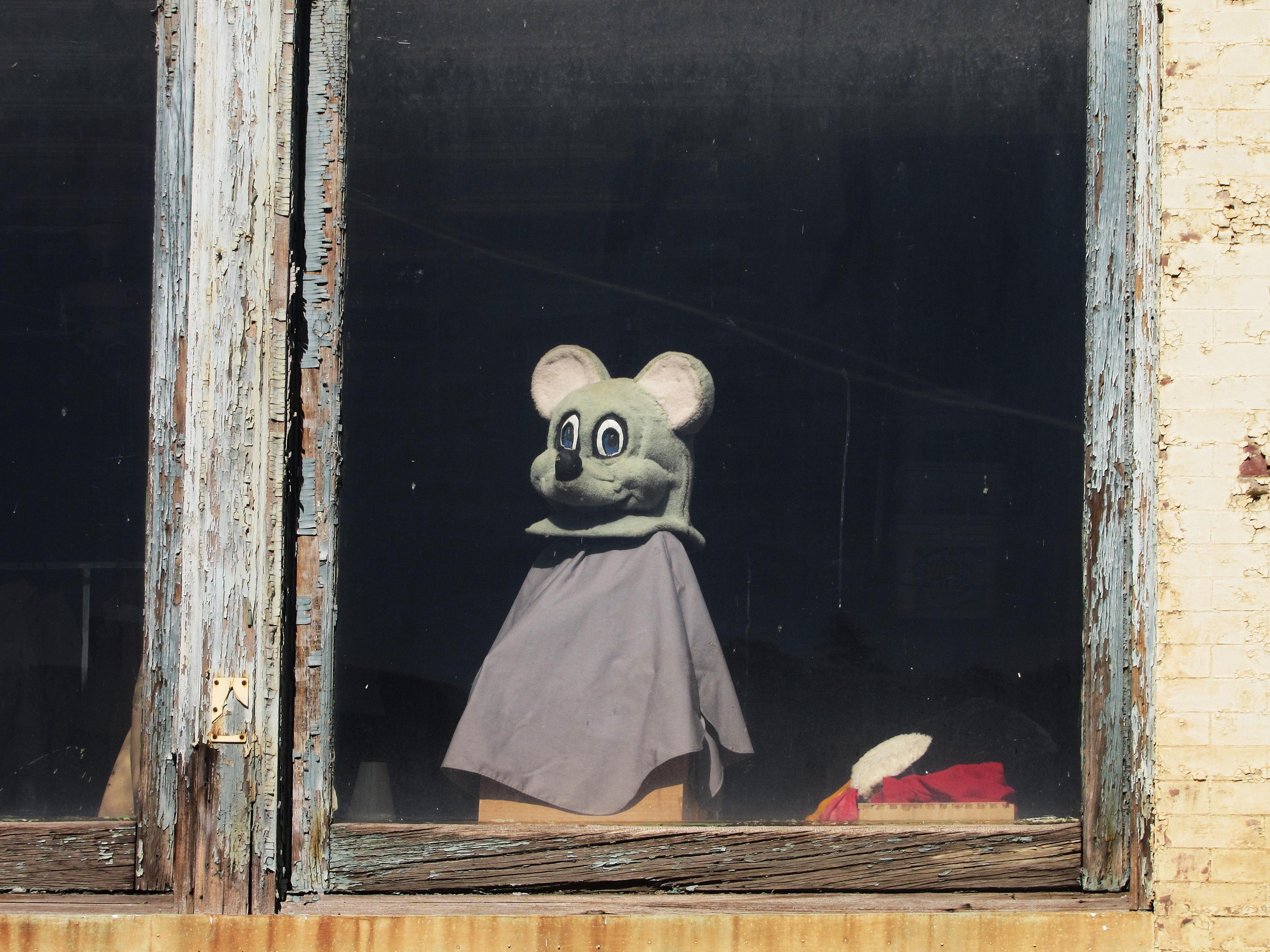 Zoomed in photograph of a sunny second story window in which a costume mouse head with big eyes rest on top of boxes covered with a plain fabric. The paint on the wooden window frame is badly cracked and peeling. Just another day in Wheeling, West Virginia.