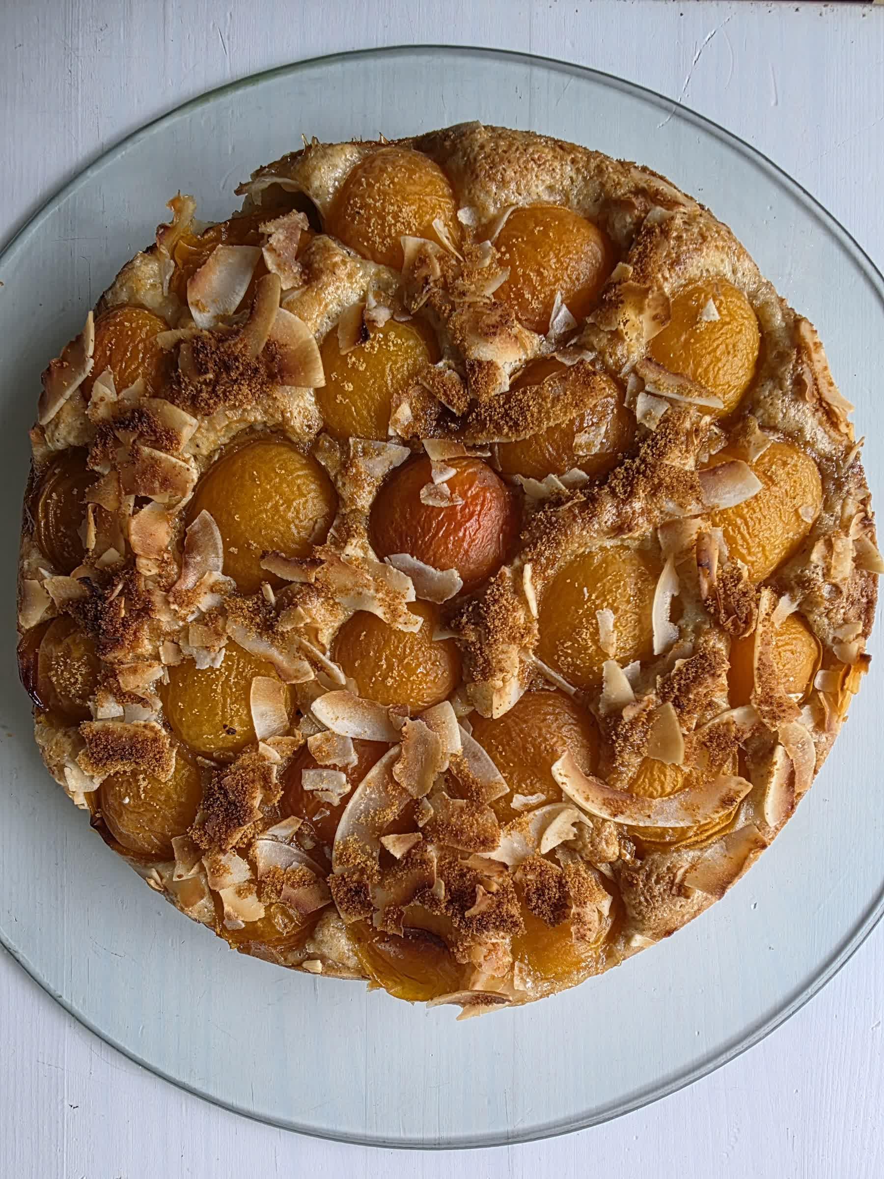 Ein runder Aprikosenkuchen mit einem Topping aus Kokosflakes und Vollrohrzucker auf einer Servierplatte aus Glas.