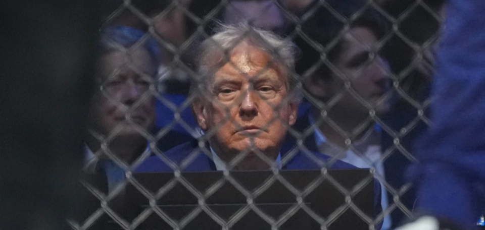 Trump, behind a chain link fence. At his UFC fight, for now. Photo from the AP.