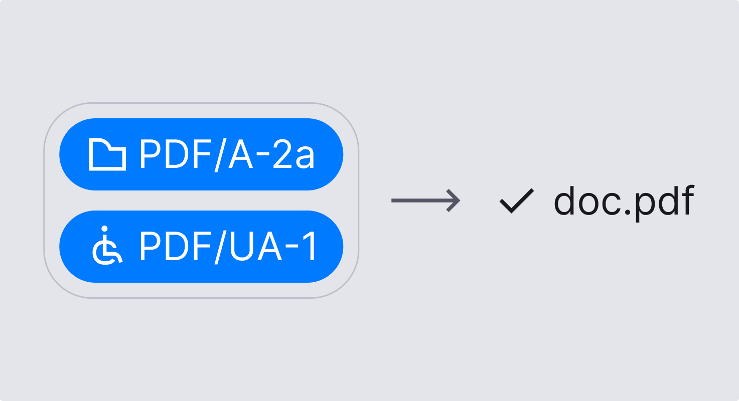 Box with selected buttons PDF/A-2a and PDF/UA-1. Arrow pointing from that box to filename doc.pdf with checkmark