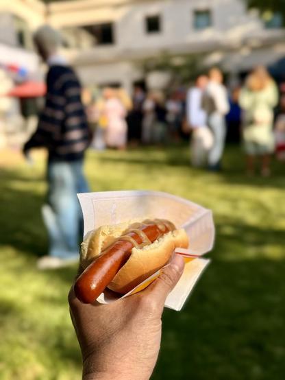 An Icelandic hot dog in my grubby little hand