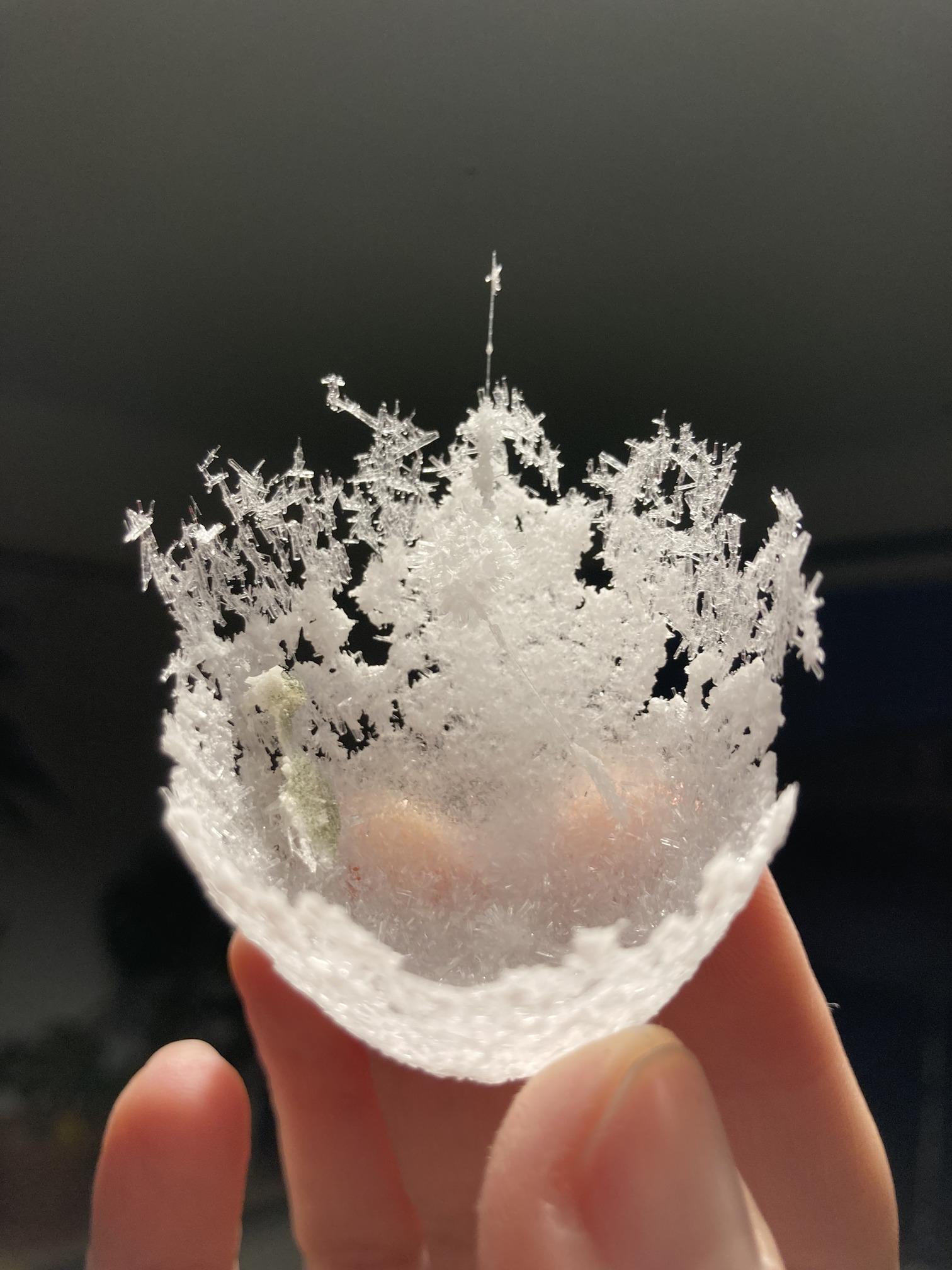 my fingers delicately holding what looks like a crystallized half-eggshell with greebley edges