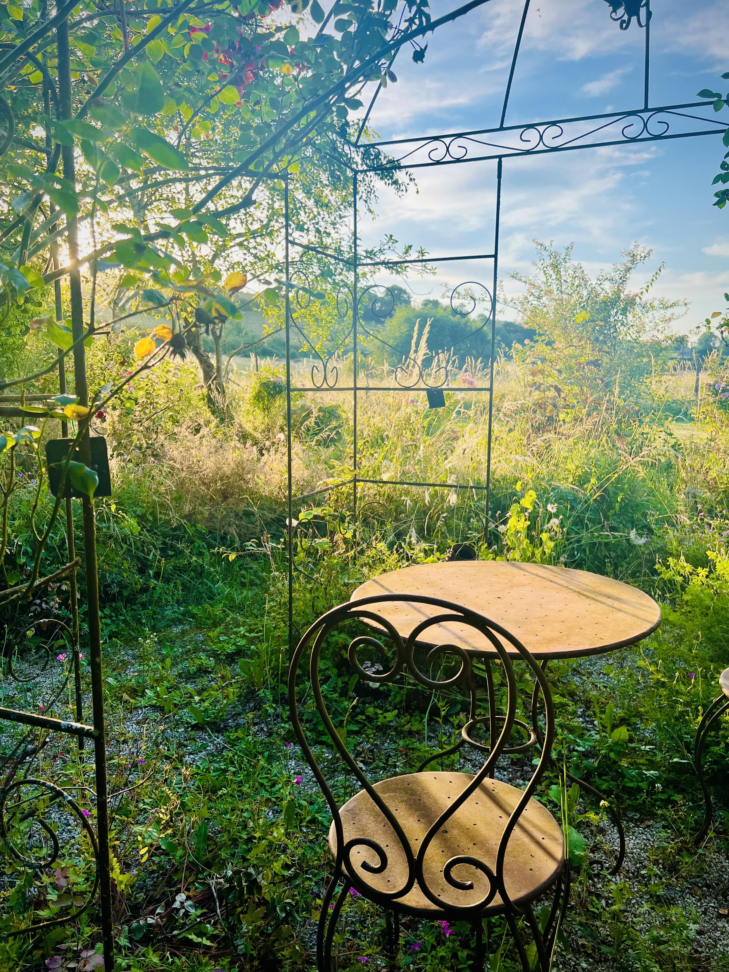 Garden table with a chair in a free garden with a backlight sunset