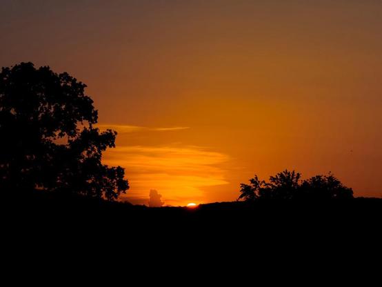 Anendhimmel in Orange kurz nach Sonnenuntergang. Horizont dunkel und Silhouetten von Bäumen vor dem Himmel