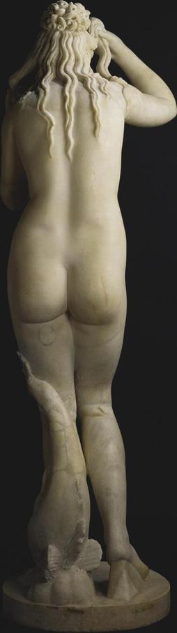 Roman marble sculpture of Venus wringing out her hair. The reverse is photographed here, showing her ample buttocks, curly hair falling down her back, and a dolphin to her feet.