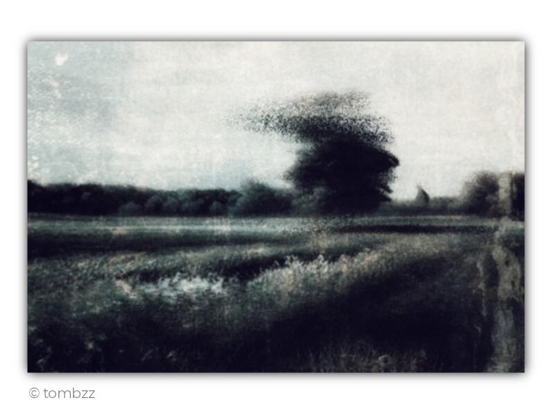 Analog landscape photograph subjected to experimental darkroom processing. Intentional chemical and physical interventions in the emulsion have softened and distorted the image, giving it the feel of a memory rather than a document. A solitary dark tree stands in the centre of the frame, its crown dissolving into soft, painterly streaks. Bands of fields lead the eye toward a distant tree line, while a narrow dirt path runs along the right edge. The bright sky contrasts with the darker foreground, and the traces left by chemical reactions and mechanical manipulation create organic tonal transitions across the image. The whole scene feels like a landscape seen through a memory that is only just beginning to regain its focus.