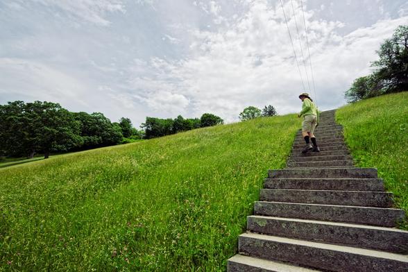 Young man wearing green stands on stone steps towards the right of the frame in a field of grass lined with darker green trees under a mixed sky