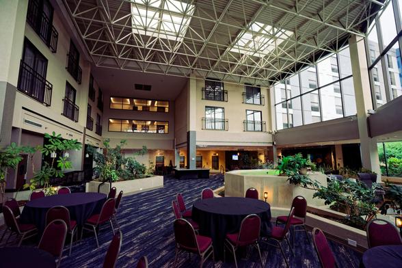 Large interior atrium with a space frame room, inward and outward facing windows and blue carpet with round tables and chairs