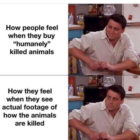 Posted media