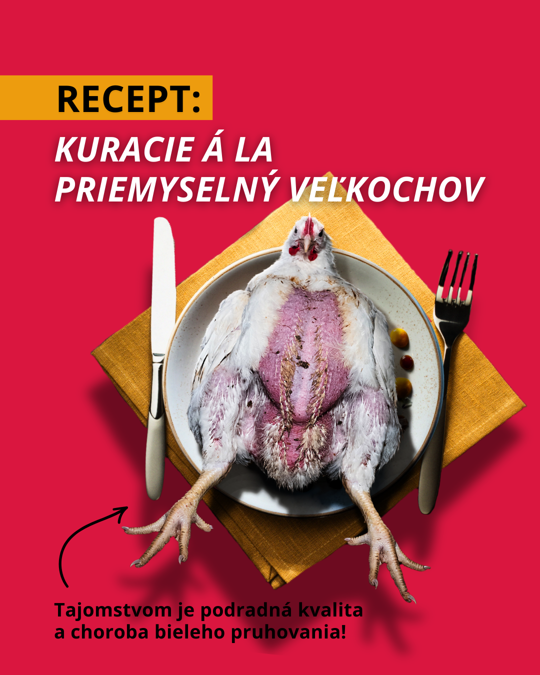 KURACIE A LA PRIEMYSELNÝ CHOV
Tajomstvom je podradná kvalita a choroba bieleho pruhovania!
