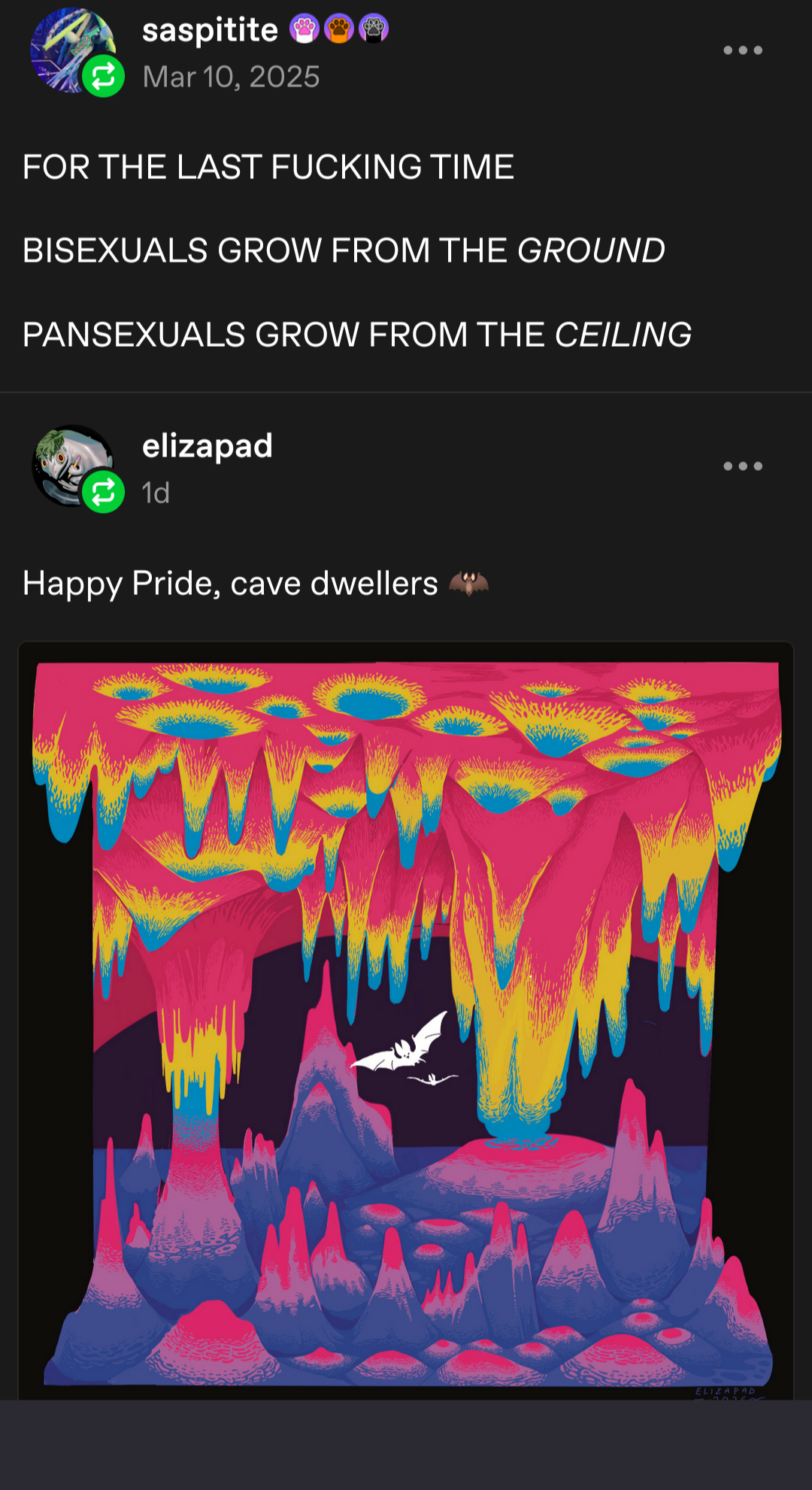 Screenshot of a Tumblr post. User Saspitite says in all caps "for the last fucking time bisexuals grow from the ground and pansexuals grow from the ceiling" 
Beneath that post is another showing a colorful rendering of a cave with stalagtites and stalagmites. The top is bright red, yellow and blue in order from top to bottom of the ceiling. The floor is dark blue, light purple and bright pink from the bottom up. In between is a strip of darkness where two white bats hang