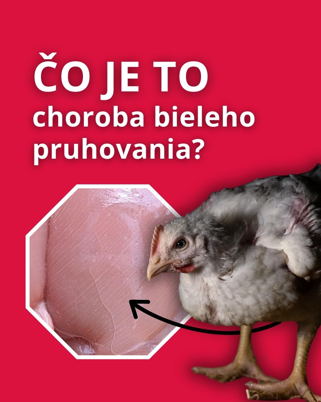 ČO JE TO choroba bieleho pruhovania?