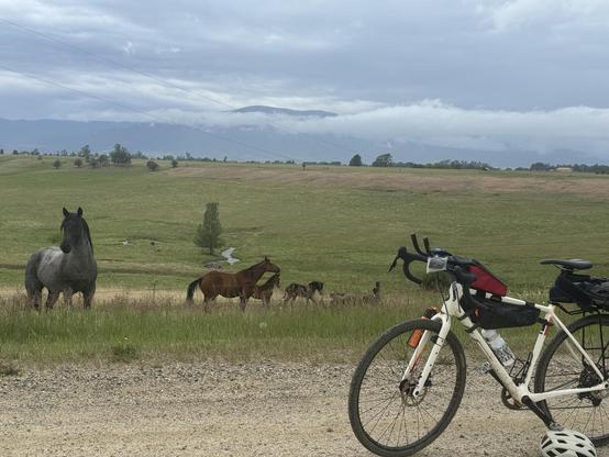 Posted media