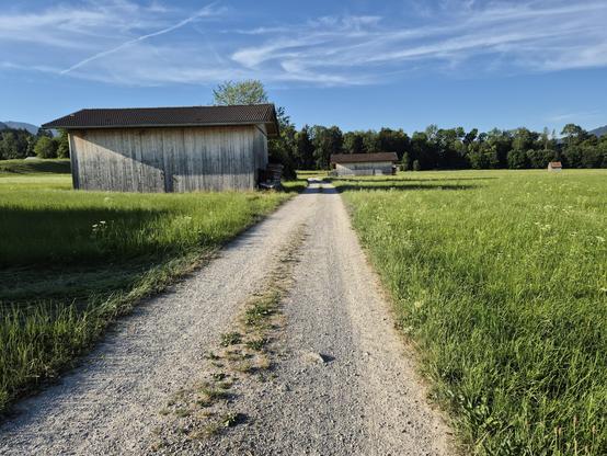 his image captures a serene and idyllic rural scene, evoking a sense of tranquility and natural beauty. A gravel path, slightly uneven and bordered by lush green grass, stretches into the distance, inviting the viewer to imagine a peaceful walk or bike ride. The path is flanked by vibrant meadows filled with tall grass and scattered wildflowers, adding texture and color to the landscape.
To the left of the path, there is a rustic wooden shed with a slanted roof, its weathered surface blending h…