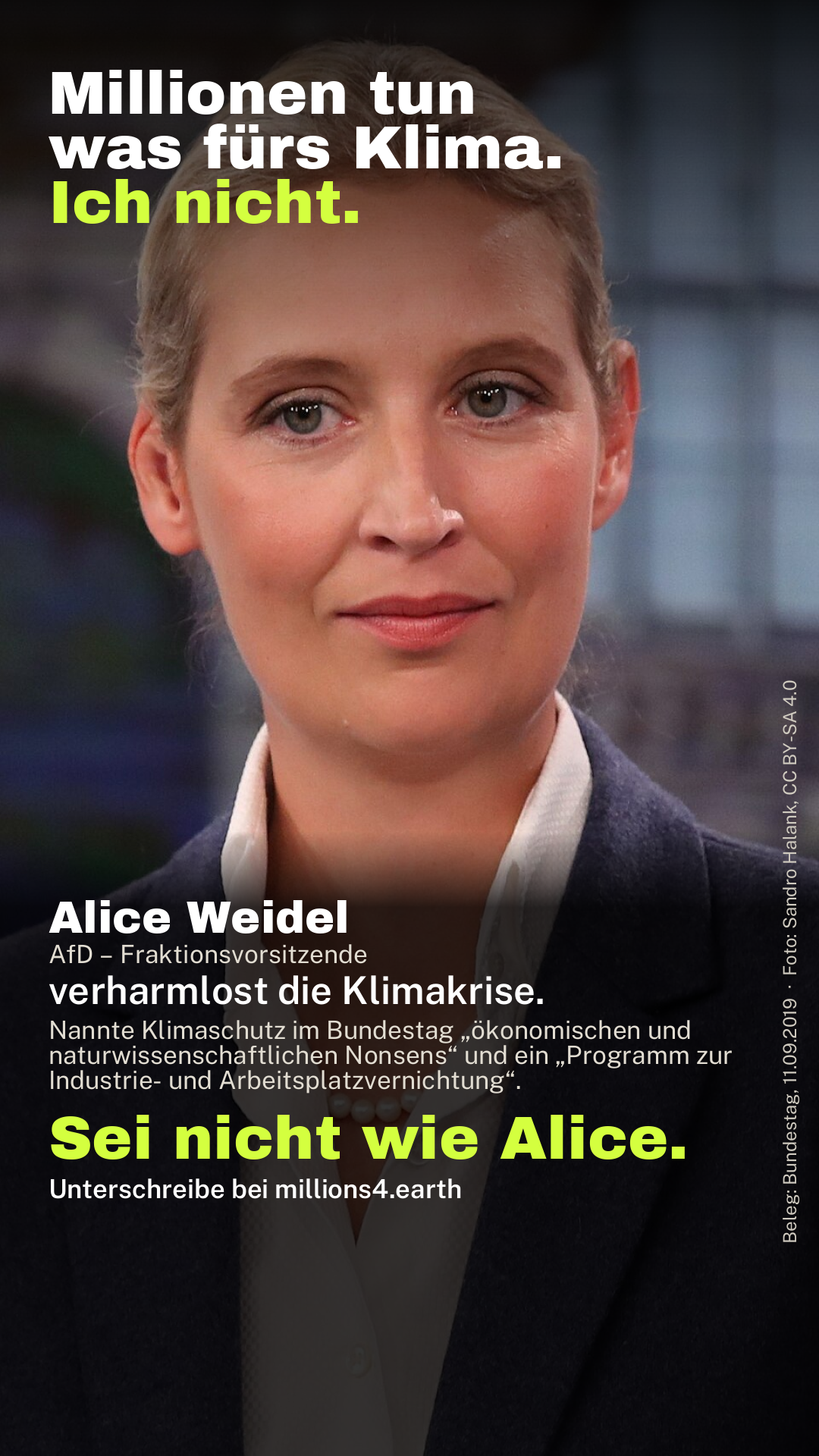 Sharepic mit Alice Weidel.