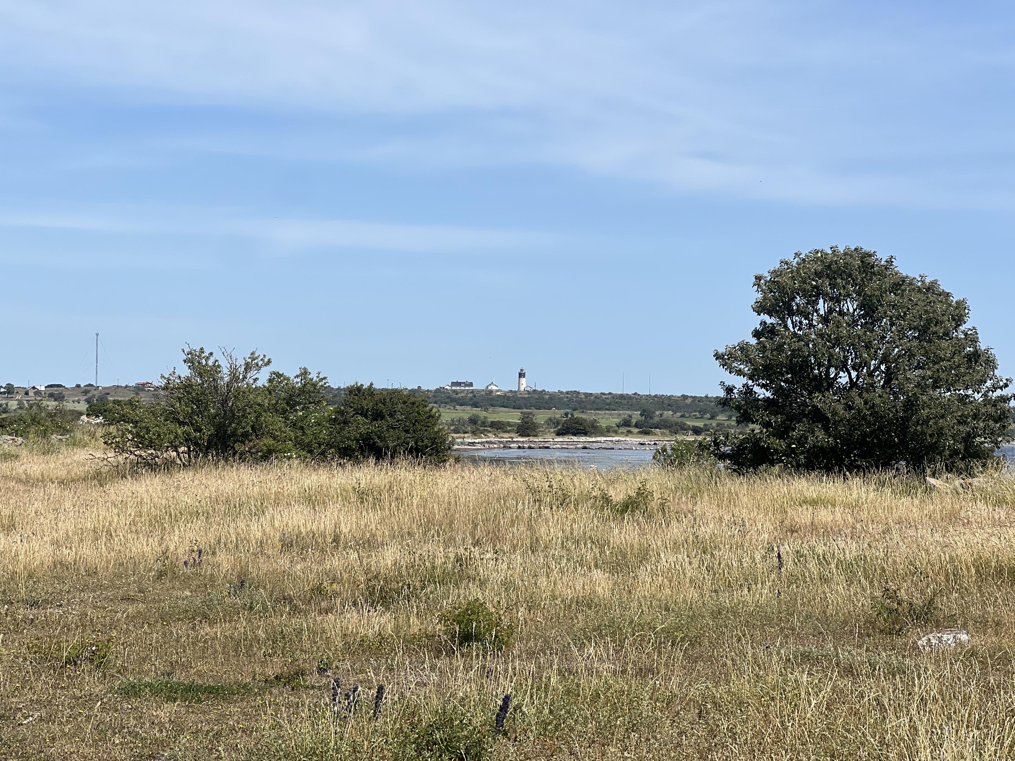 View across the meadow onto an island south of it with a tiny lighthouse on it.