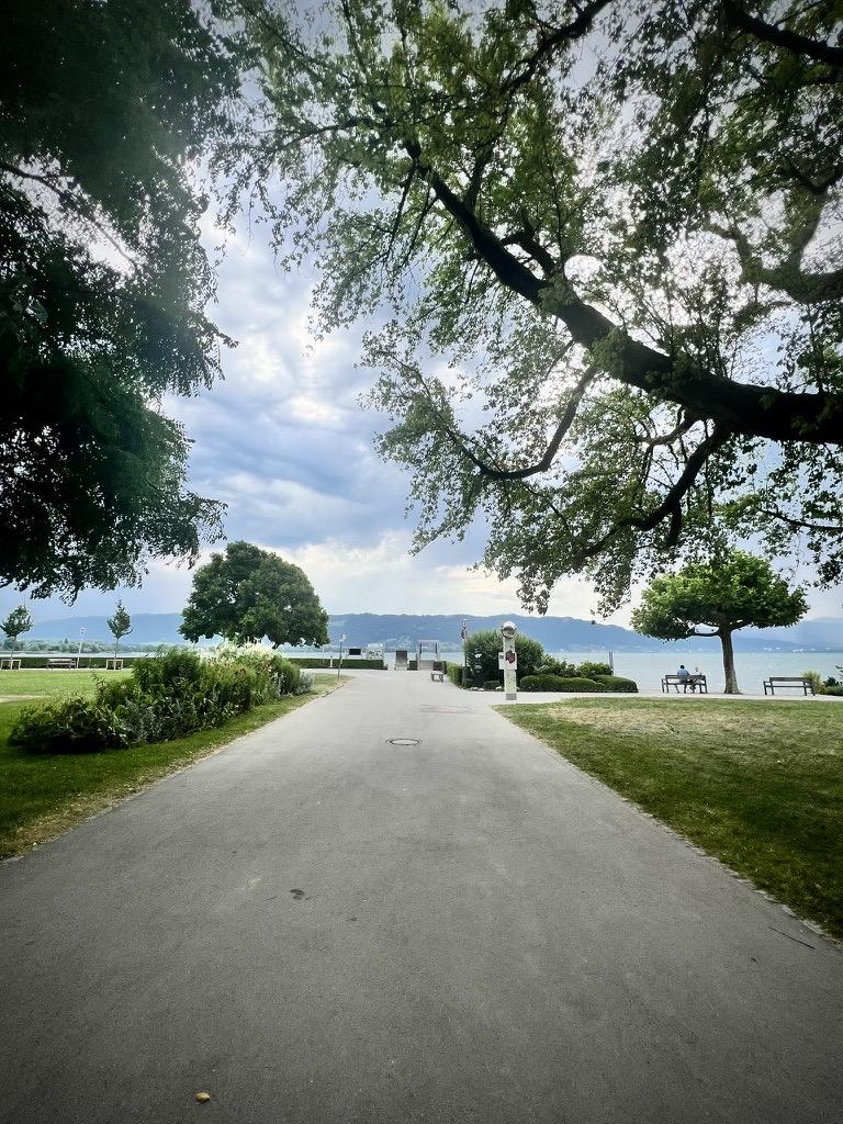 A wide, paved pedestrian path runs through a grassy park toward a lake, framed by the overhanging branches of large, leafy trees. On the right, people sit on a park bench beneath a tree overlooking the water, while distant mountains stretch across the horizon under an overcast sky.