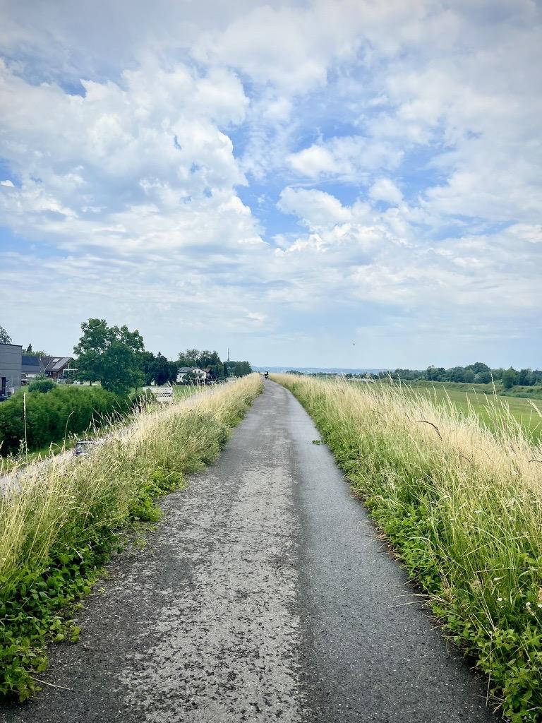 An elevated, narrow asphalt path stretches straight into the distance, bordered on both sides by tall, dry grasses and green vegetation. On the left, houses and trees sit at a lower elevation, while on the right, flat green fields spread out under a wide blue sky filled with puffy white clouds.
