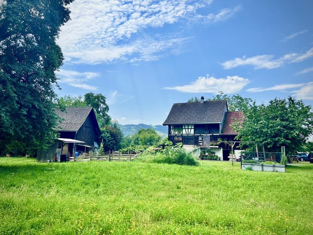 ‎⁨Thal Municipality⁩, ⁨Canton of St. Gallen⁩, ⁨Switzerland⁩

A lush green meadow dotted with tiny yellow wildflowers stretches toward a traditional timber-framed farmhouse on the right and a dark wooden barn on the left. Lush green trees surround the structures, with rolling green hills visible in the distance under a bright blue sky filled with wispy white clouds.