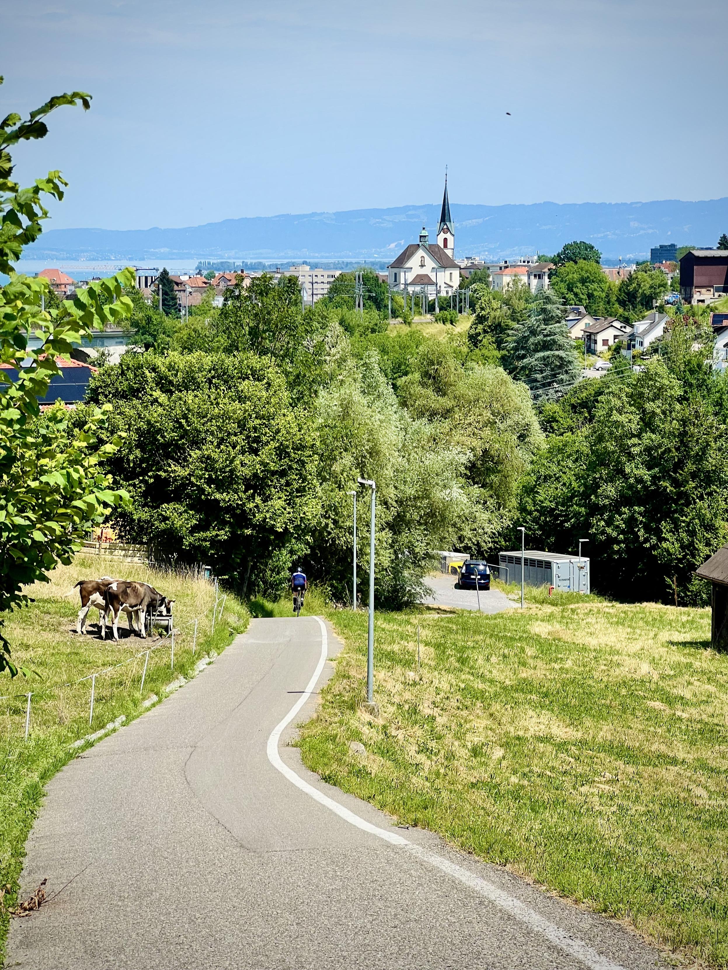 Same hill than the previous photo shoot reversed. 

A winding paved path curves downhill through green fields. Two cows stand behind a fence on the left. Farther ahead, a cyclist rides toward a small village. Beyond the trees, a church with a tall steeple rises above the rooftops, with distant blue mountains and a lake on the horizon.