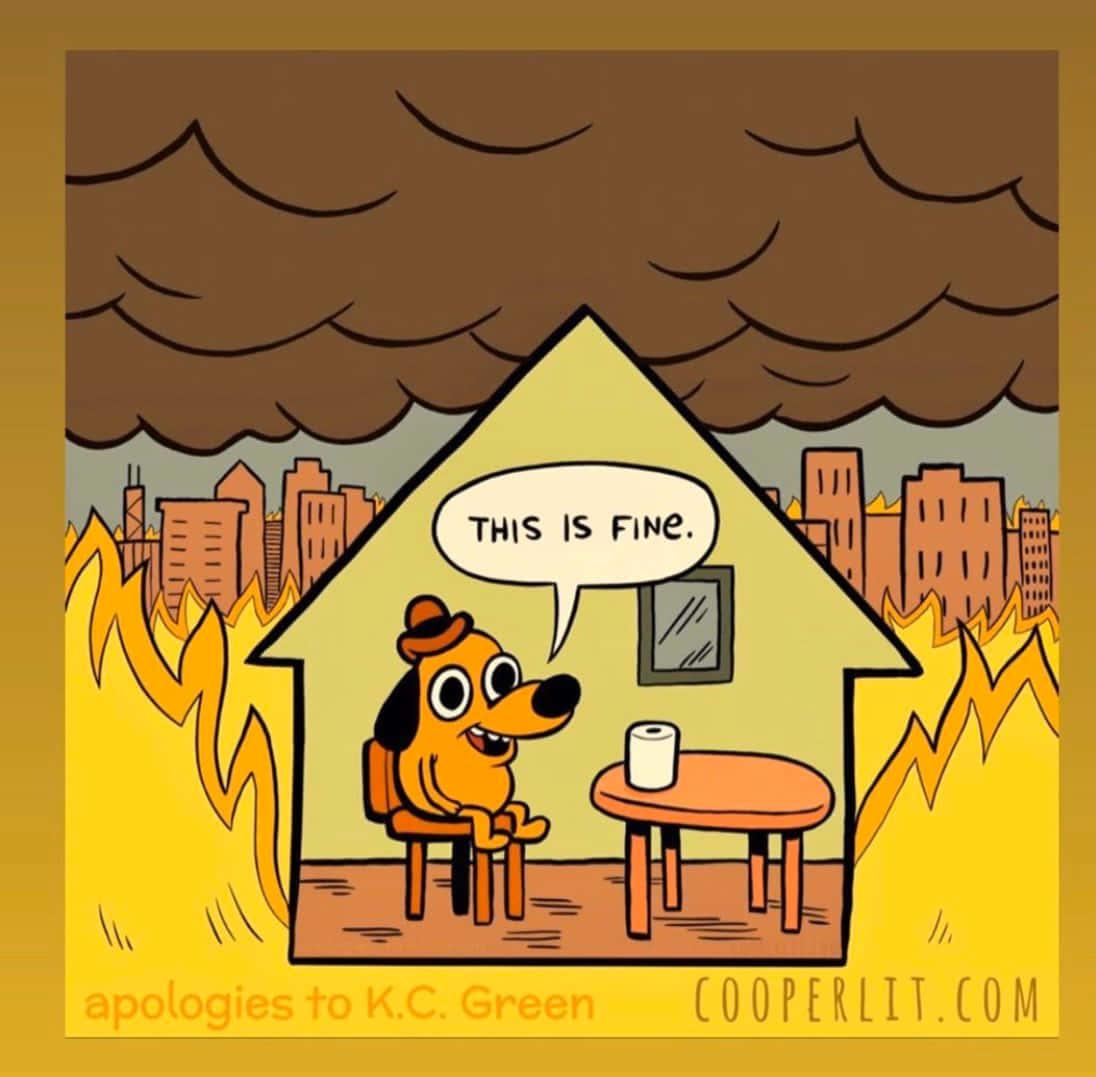 This Is Fine dog is sitting inside a tiny house in front of a table with a roll of paper towels. The city outside is in fire.

"Apologies to K.C. Green — Cooperlit.com"