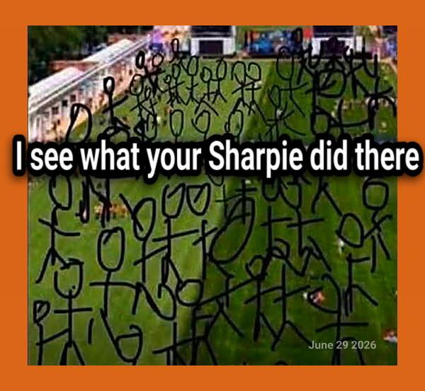 I see what your sharpie did there

many stick drawn people on the green grass