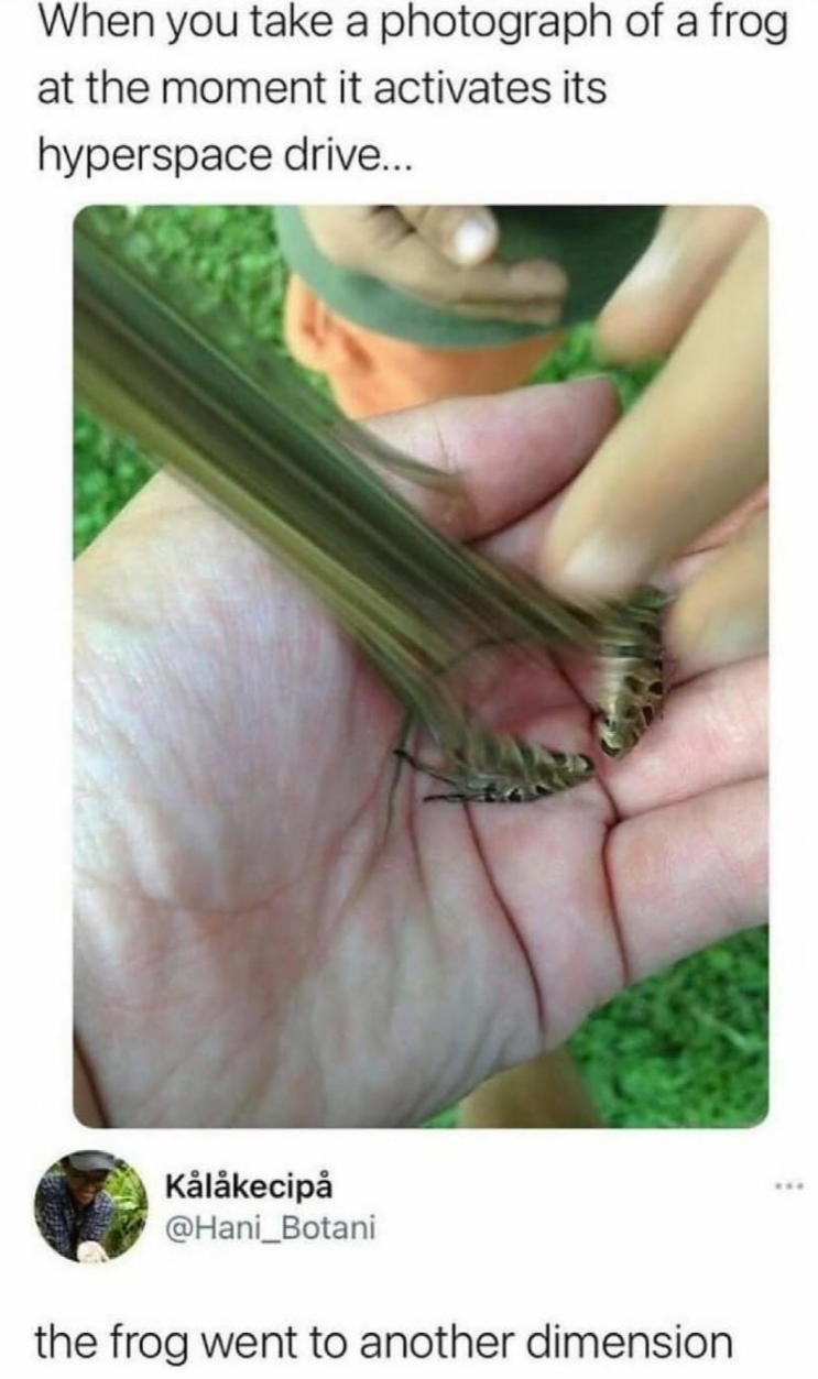 Photo of a blurred frog jumping from someone's hand. The top text reads, "When you take a photograph of a frog at the moment it activates its hyperspace drive..." At the the bottom, it reads, "the frog went to another dimension."