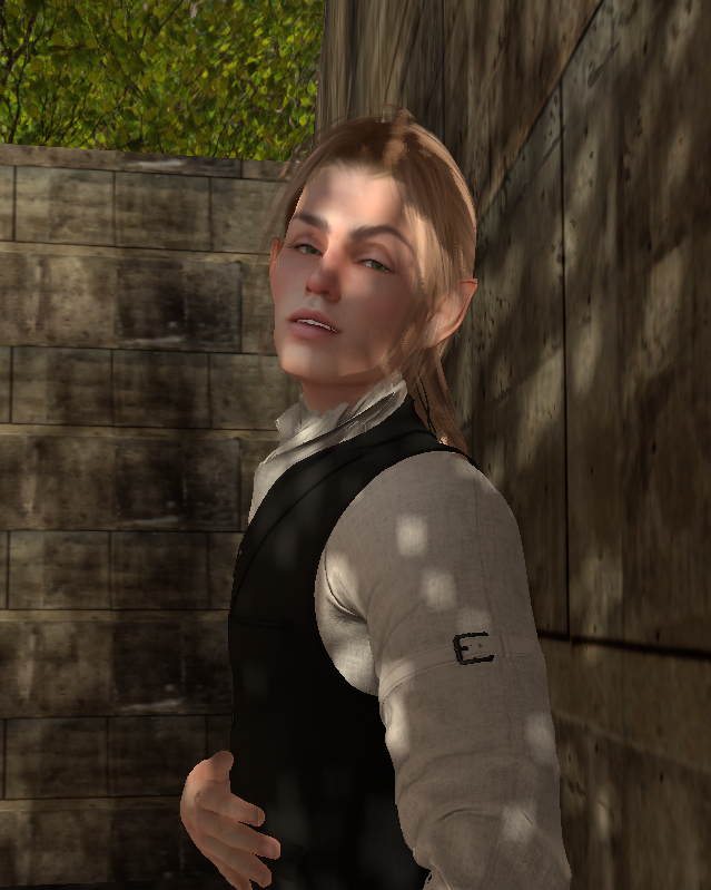a blonde male elf leans against a wall, gazing dreamily at the viewer. Image is a screenshot from the virtual world of Second Life. Hair by Magika, Head by Lelutka, Face by LeLaPeau, outfit by Graal, pose made using the Firestorm Poser, windlight is Bristol.