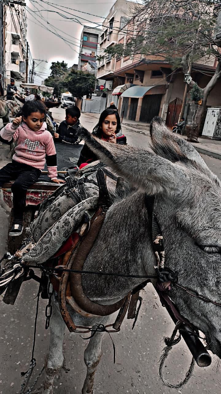 Two girls on a donkey