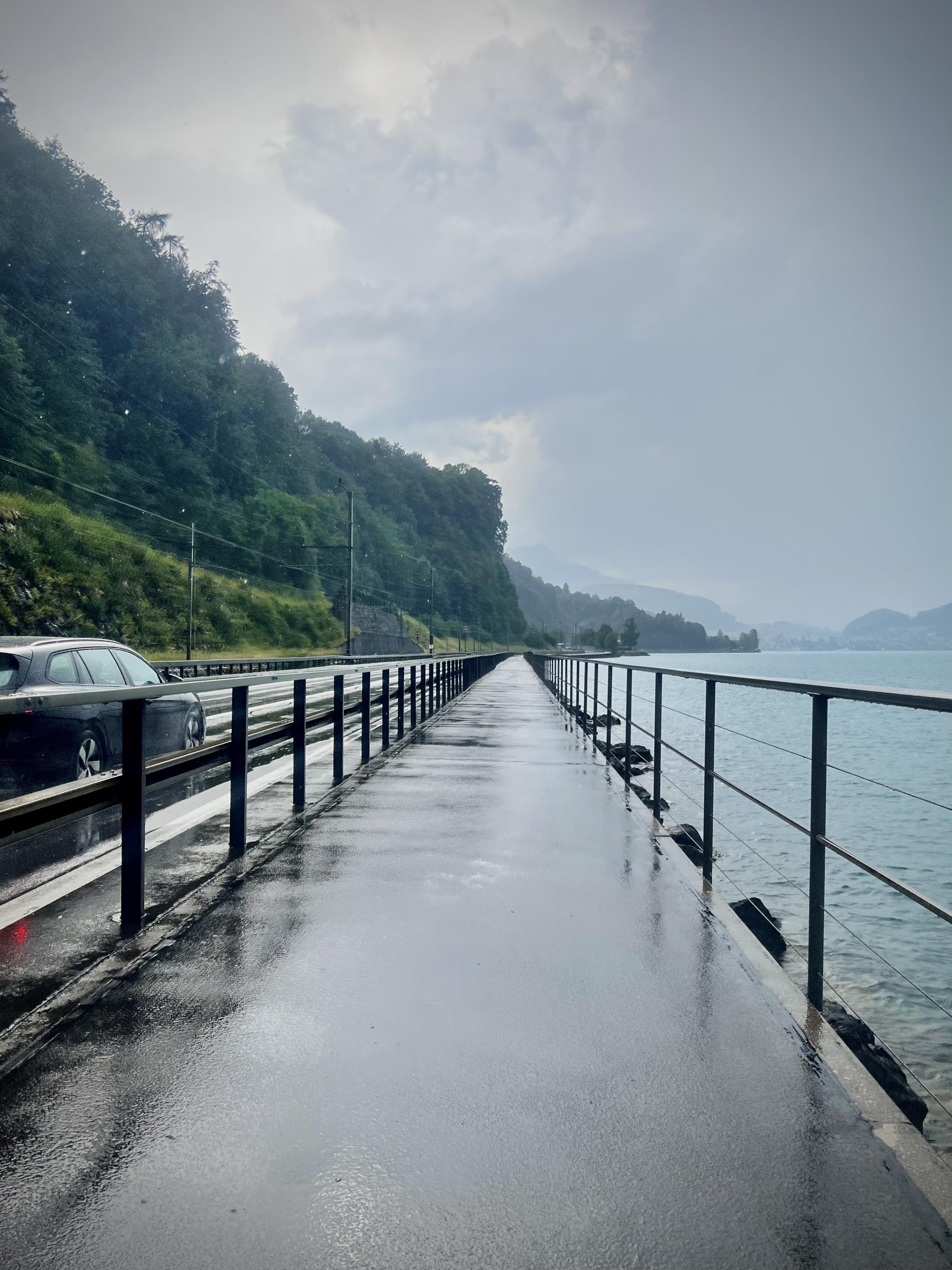 A first-person view from a bicycle on a wet, reflective path bordering a rocky shoreline and the Thunersee lake on the right.