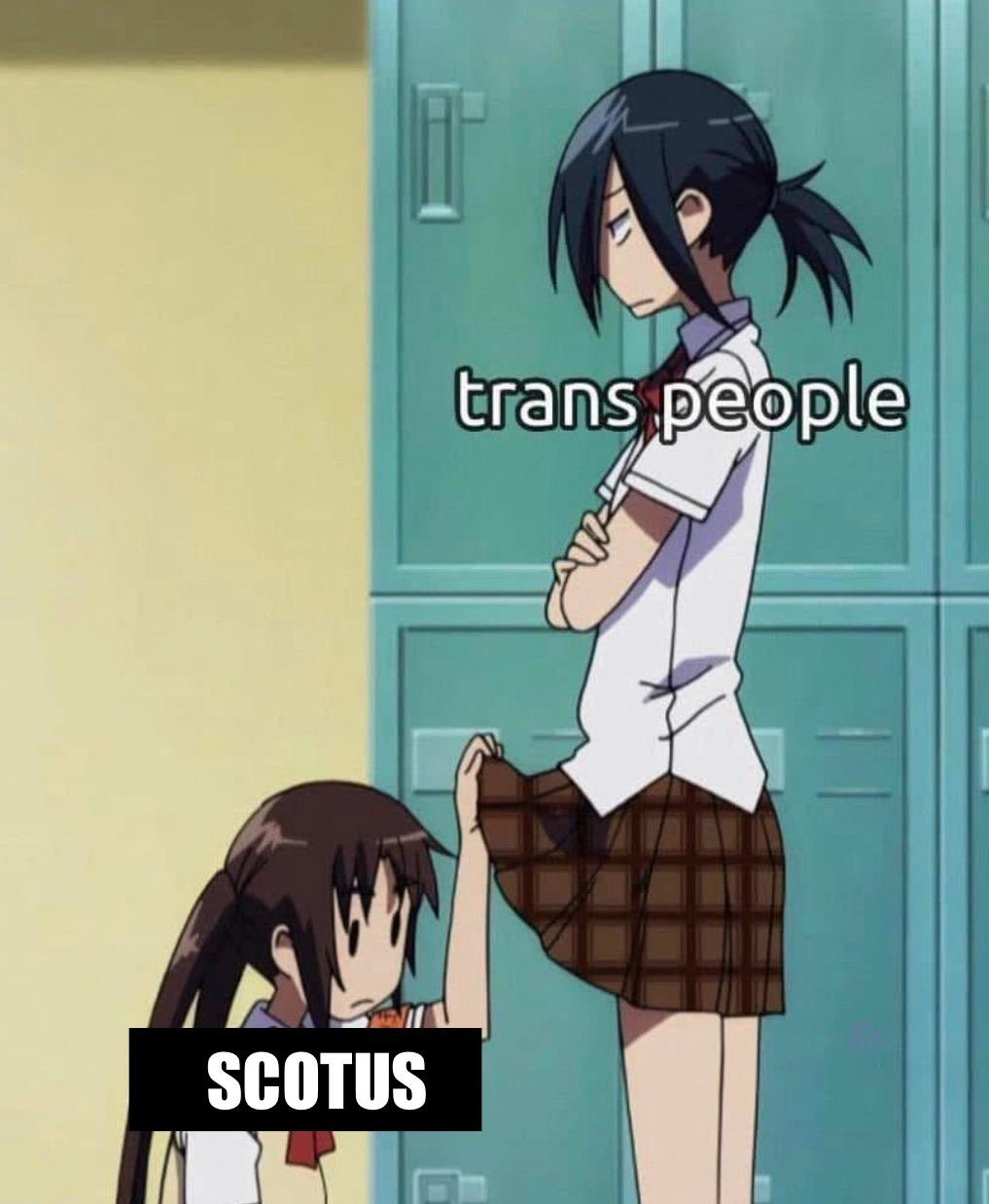 Two anime girls, one standing and looking mad as the other looks under her skirt. The standing one is labeled “trans people” and the kneeling one is labeled “SCOTUS”