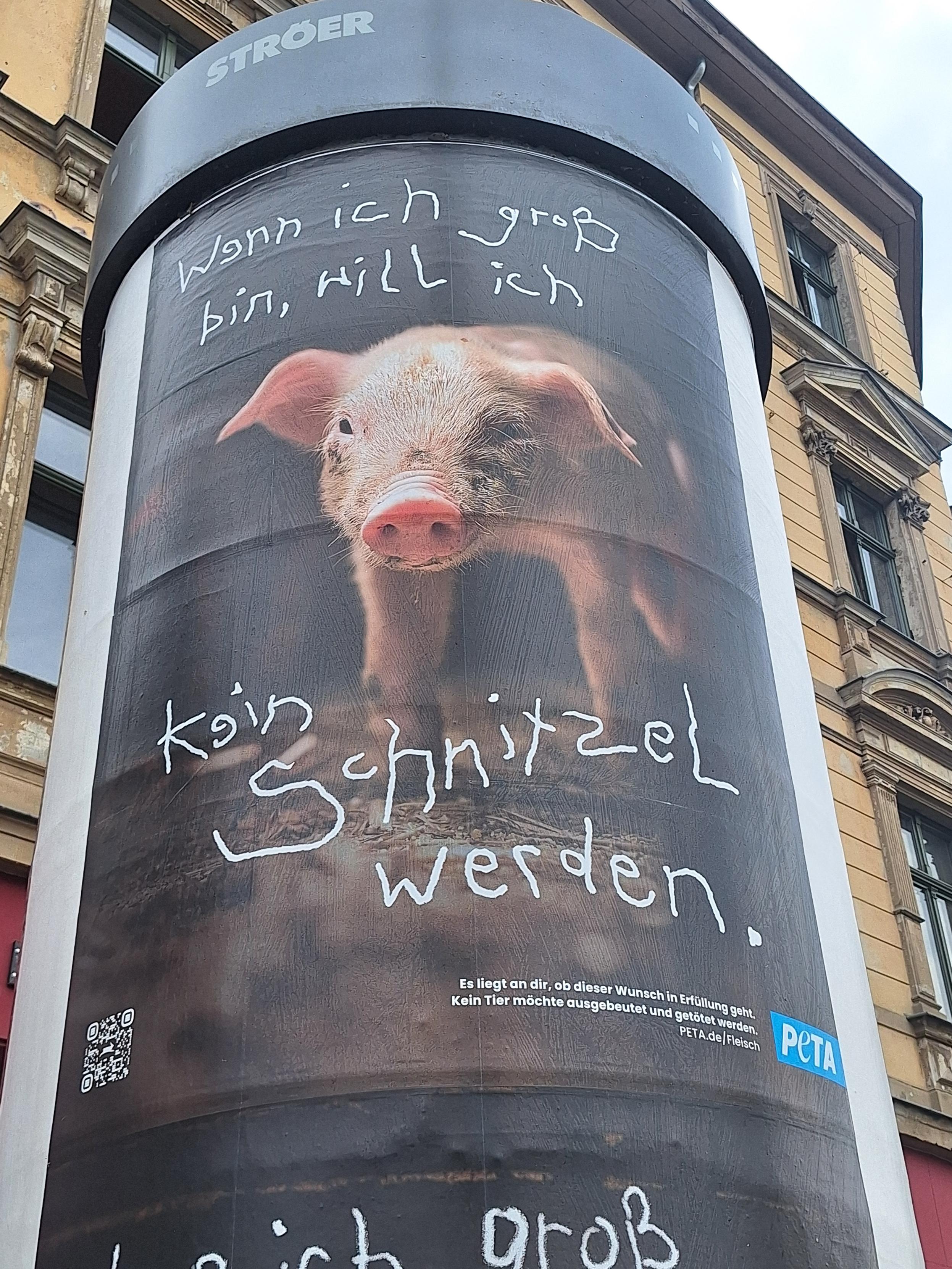 Kleines Ferkel mit Text "Wenn ich groß bin, will ich kein Schnitzel werden.". In der rechten unteren Ecke steht: Es liegt an dir, ob dieser Wunsch in Erfüllung gejt. Kein Tier möchte ausgebeutet unf getötet werden. PETA.de/Fleisch