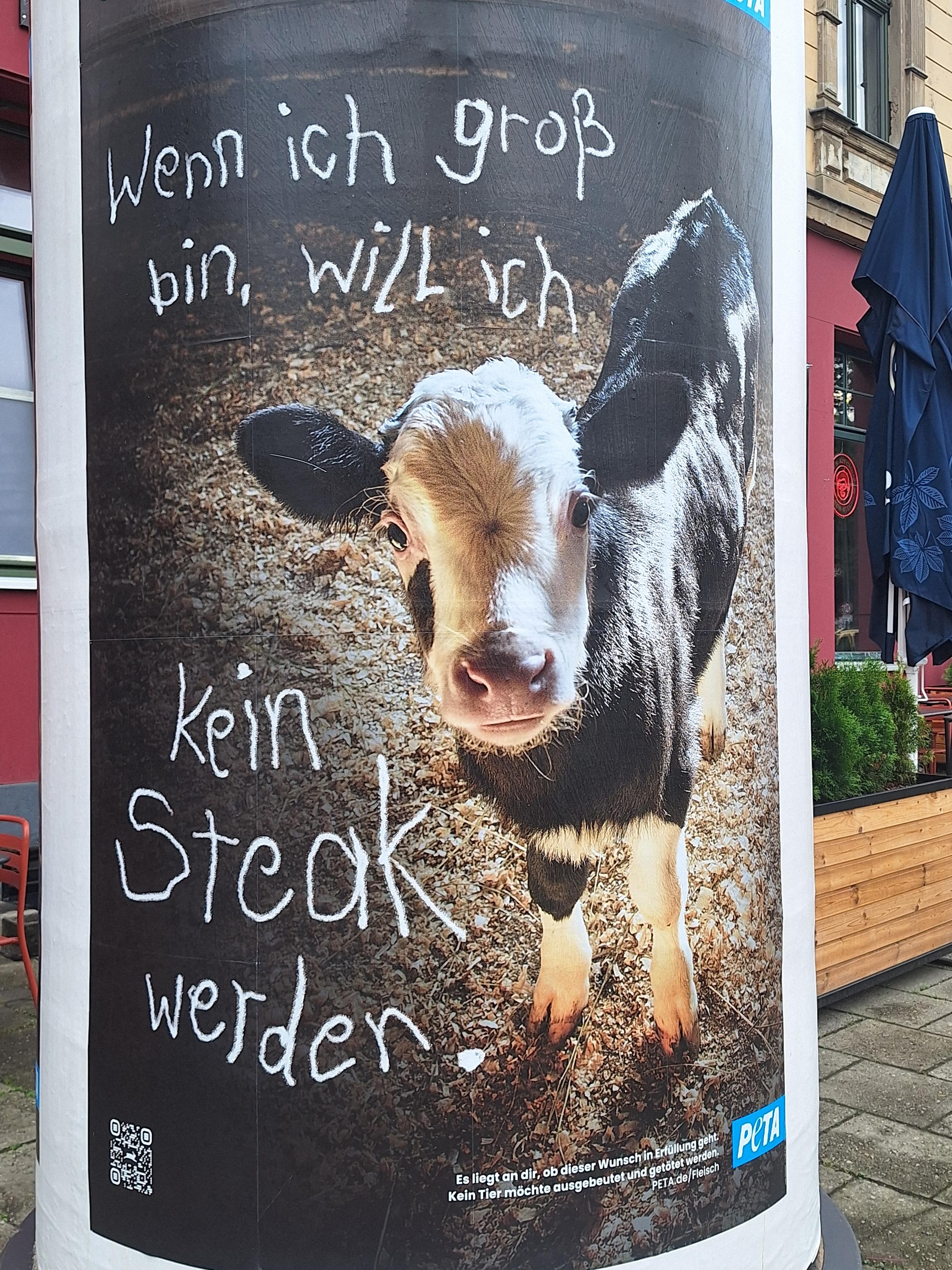 Kalb mit Text: Wenn ich gros bin, will ich kein Steak werden.