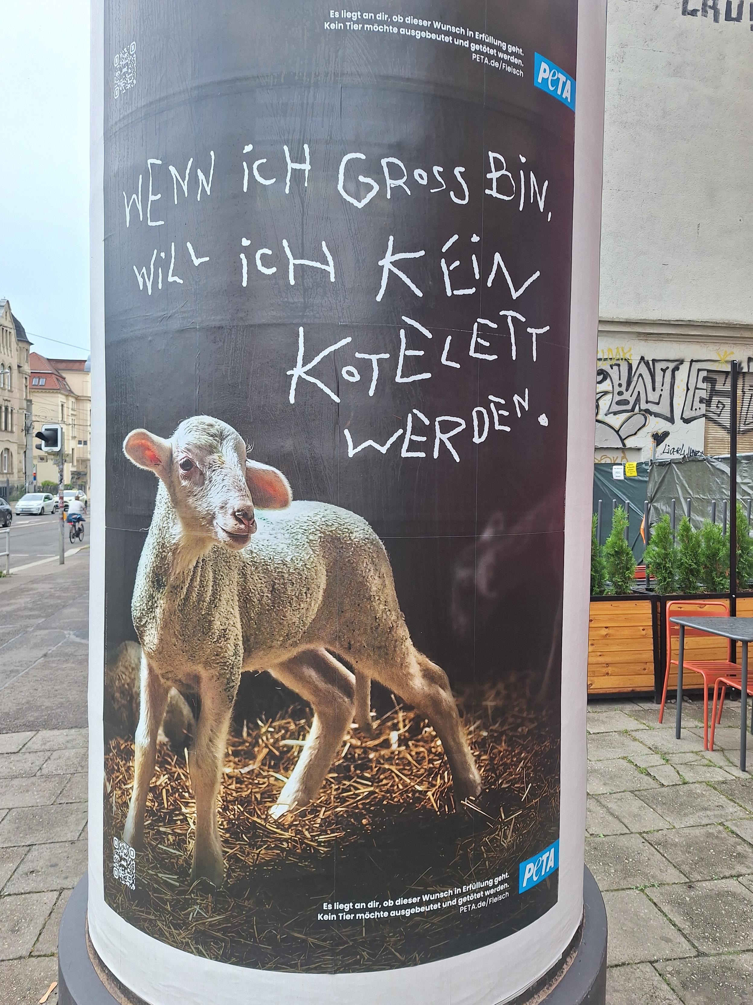 Lamm mit Text: Wenn ich groß bin, will ich kein Kotlett werden.