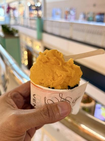 Mango sorbet with chocolate sprinkles from Venchi. It’s mango and chocolate. Basically a fruit salad 