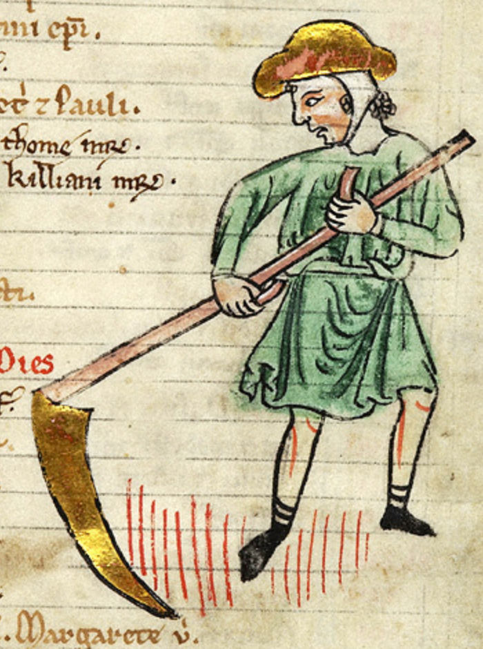 Medieval manuscript illustration of a man wearing a hat mowing grass with a scythe.