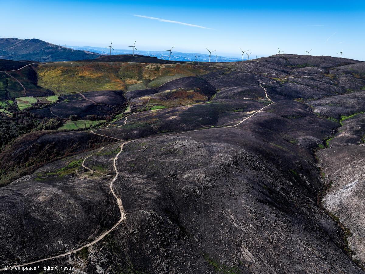 Pictures showing the aftermath of Forest Fires in Portugal in 2025. Location: Serra do Alvao / Vila Real. Portugal. Date: October 05, 2025. Photographer: © Greenpeace / Pedro Armestre