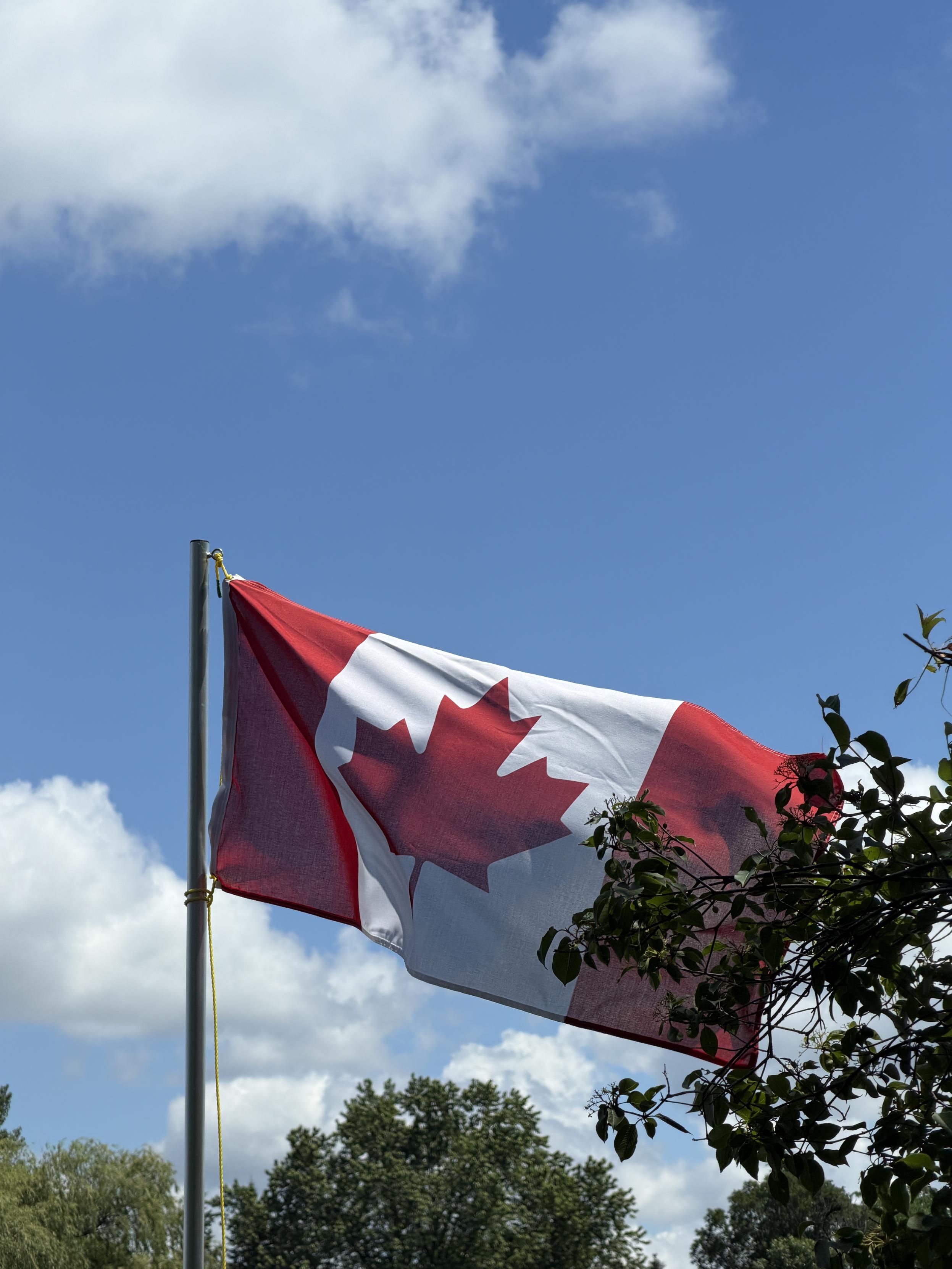 Close up of a Canadian flag blowing in the wind against trees and sky