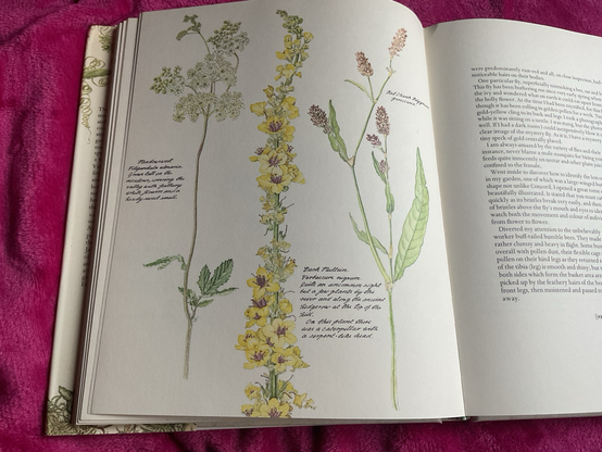 Posted media